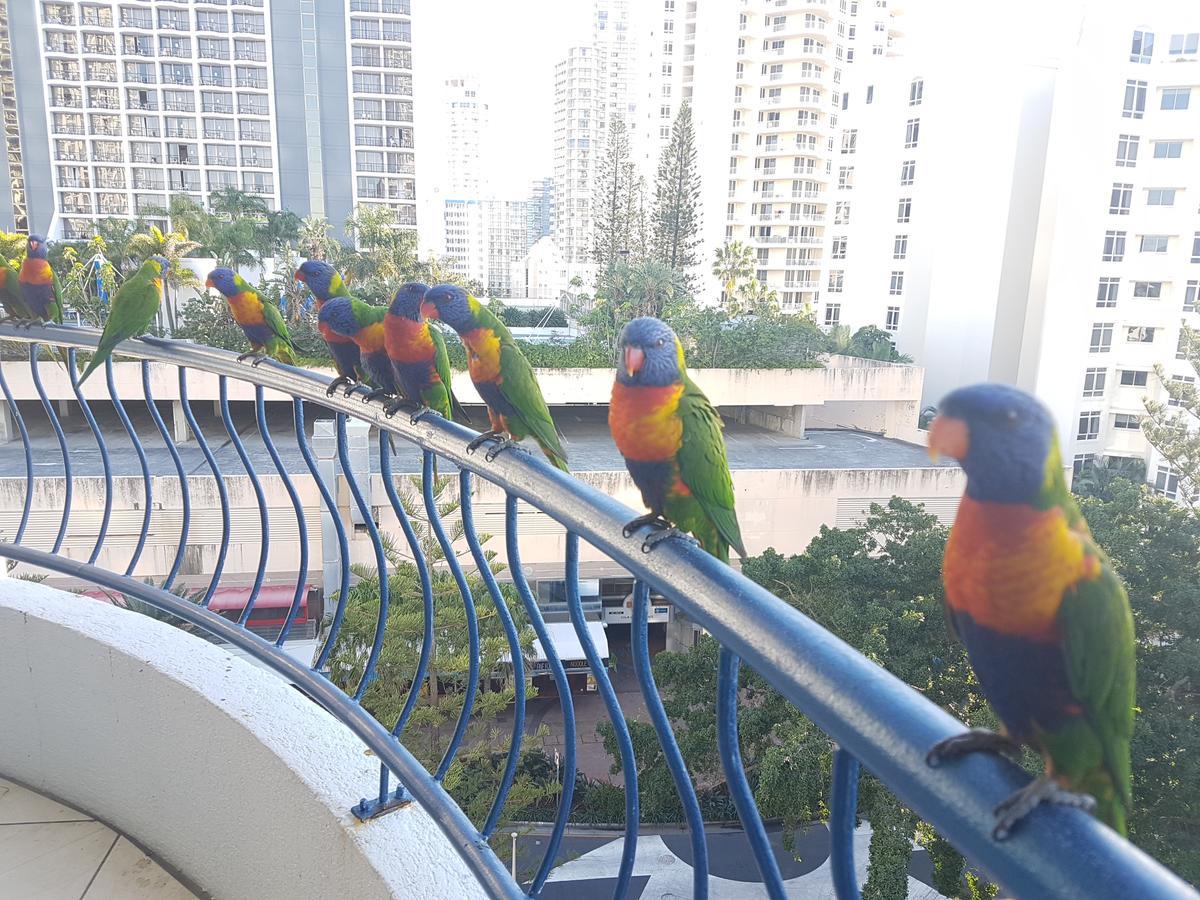 Apartament Monte Carlo Surfers Paradise Zewnętrze zdjęcie
