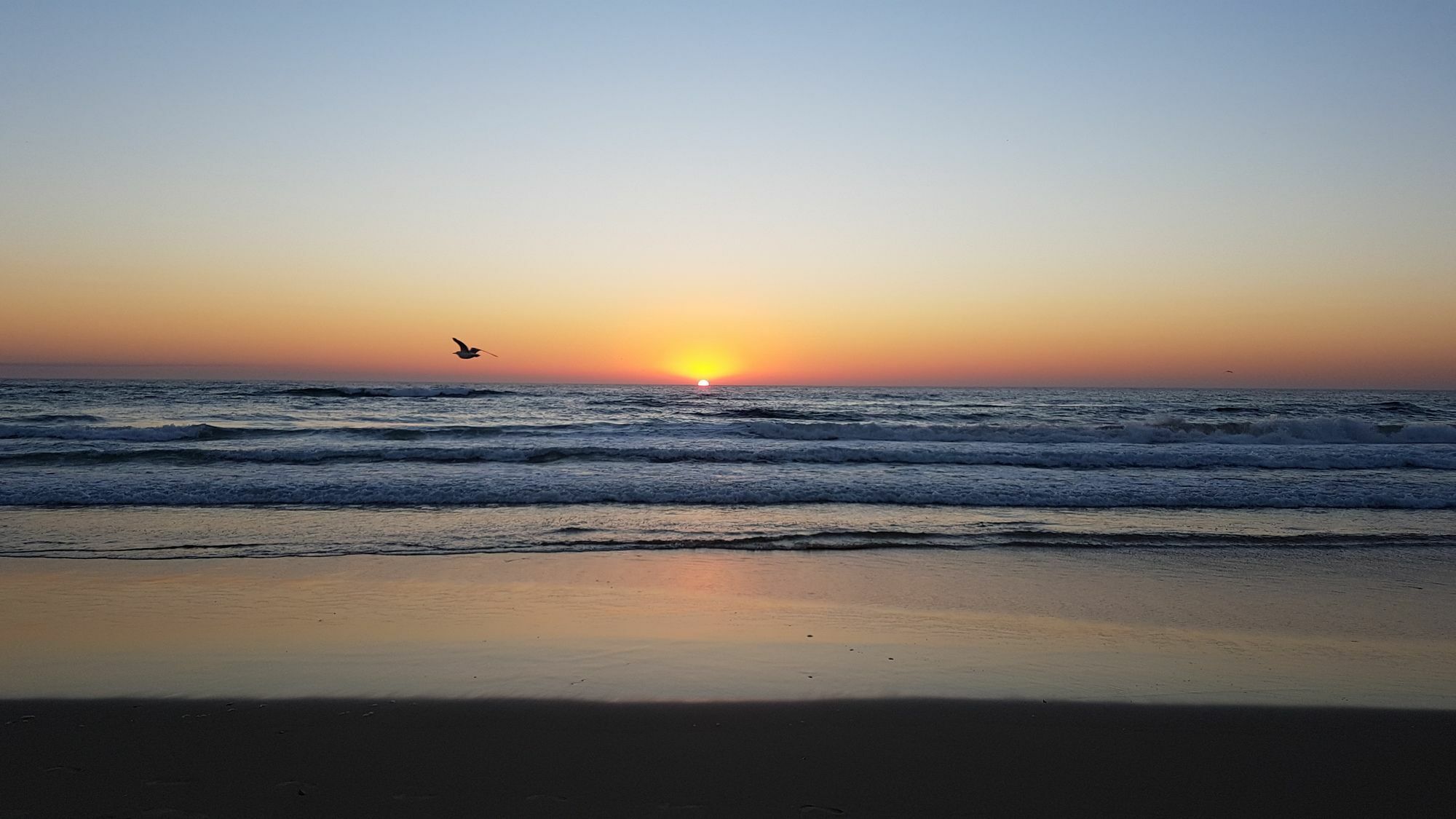 Apartament Monte Carlo Surfers Paradise Zewnętrze zdjęcie
